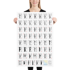 Ship Recognition Playing Cards Poster: Chinese People's Liberation Army Edition